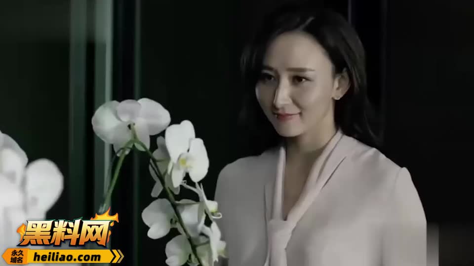 AI魔改电视剧 人民的名义 胡静饰演的高小琴 在山水庄园被强势后入